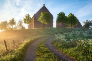 金铲铲共享阵容推荐，金铲铲只能收藏3个阵容