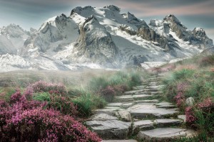 金铲铲打小恶魔阵容推荐，金铲铲之战阵容小恶魔阵容？